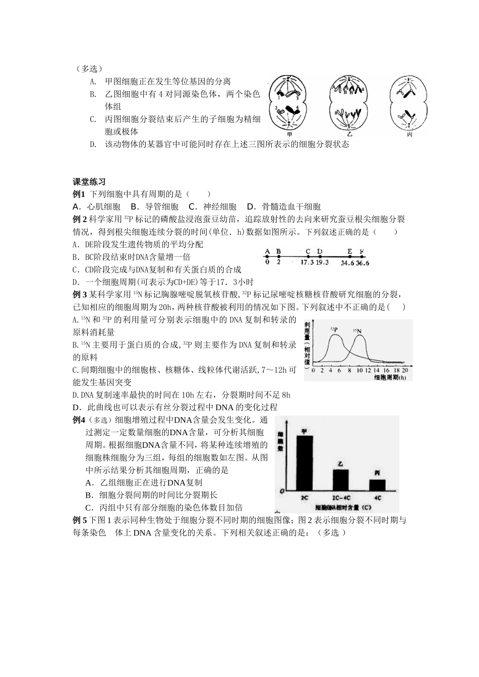 复习课  细胞增殖教案_第3页