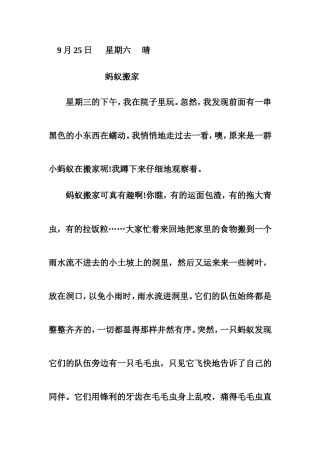 观察动物日记作文