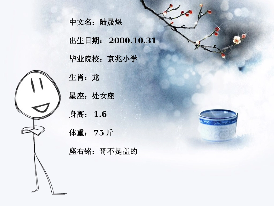 自我介绍PPT模板(精)_第2页