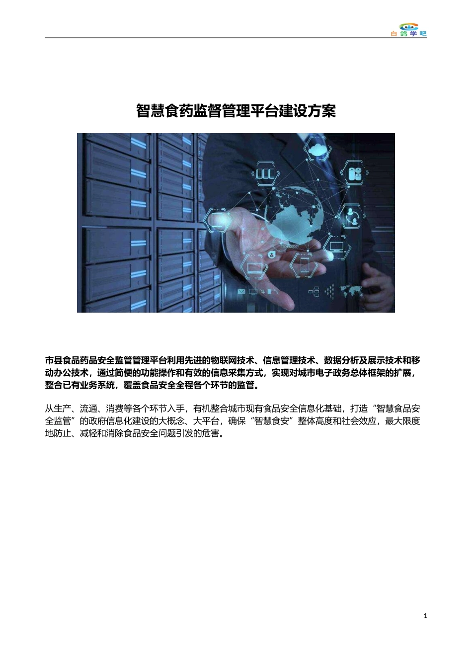 智慧食药监督管理平台建设方案_第1页