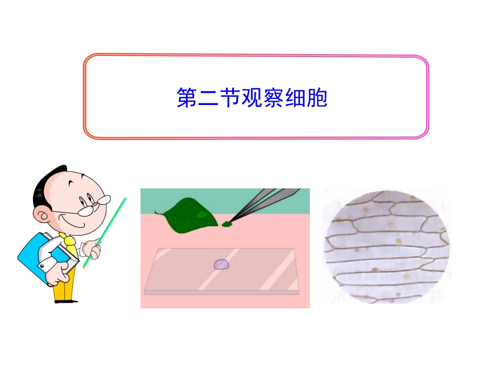 观察植物细胞和动物细胞_第1页