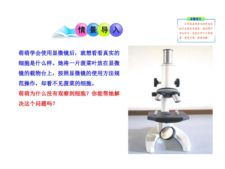 观察植物细胞和动物细胞_第2页