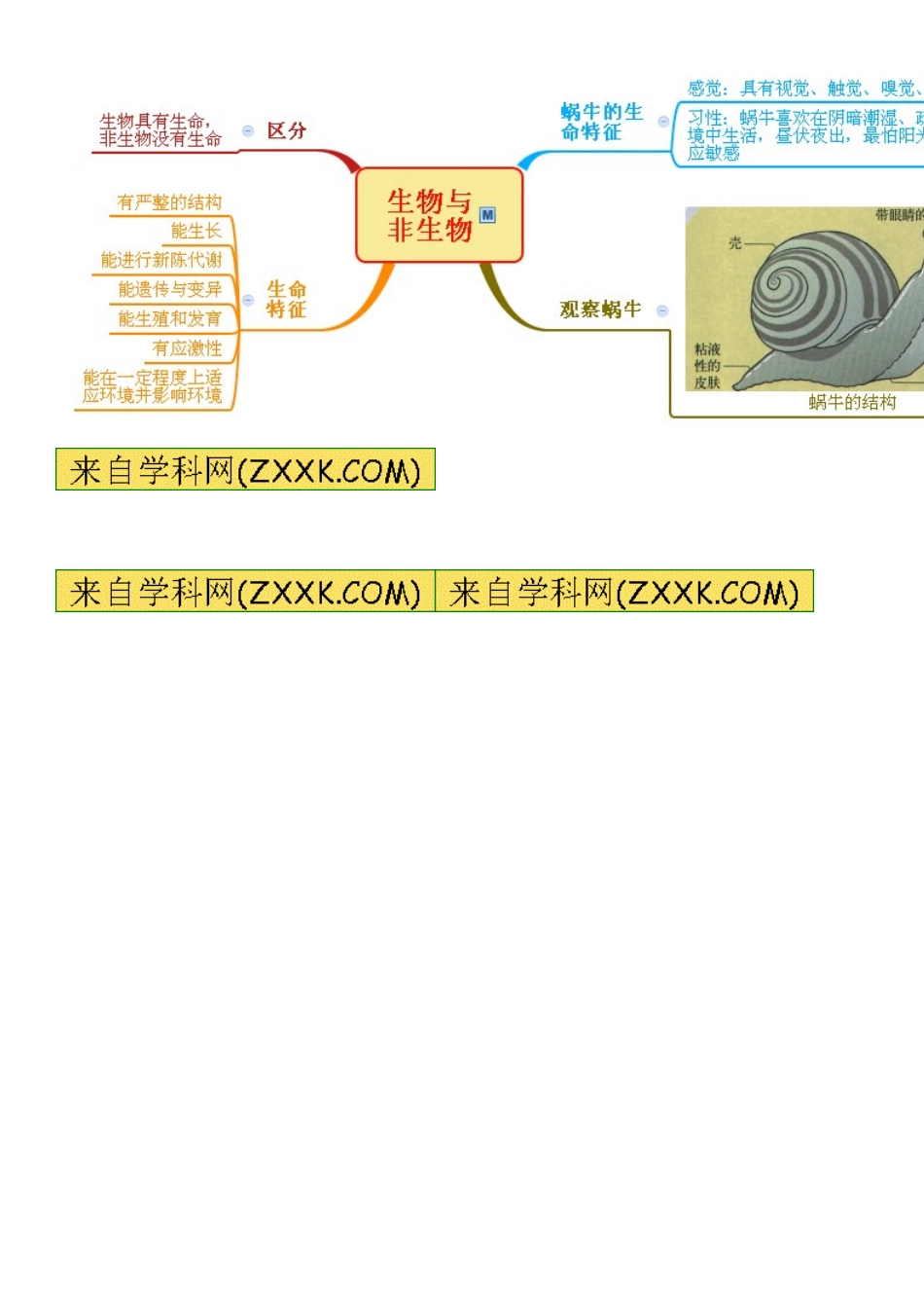 浙教版七年级科学上册：第2章-观察生物思维导图 (2)_第2页