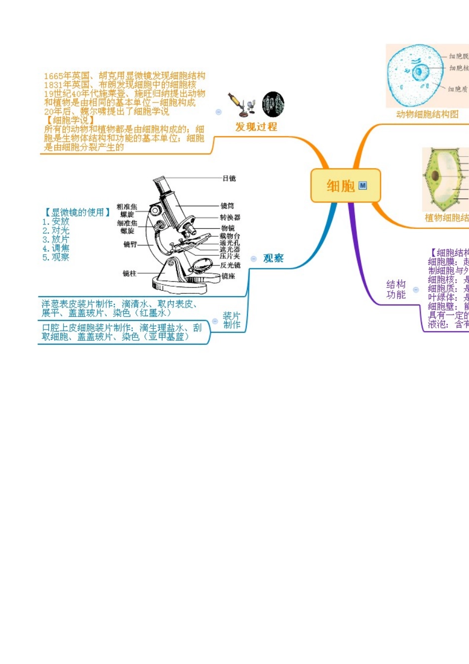 浙教版七年级科学上册：第2章-观察生物思维导图 (2)_第3页