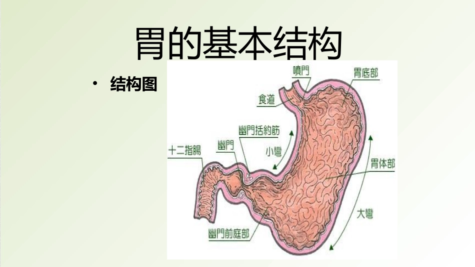 胃癌的护理查房2018_第3页