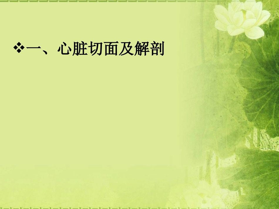 心脏超声基础知识1_第3页