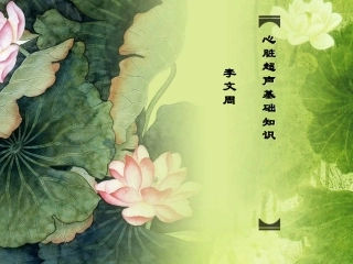 心脏超声基础知识1