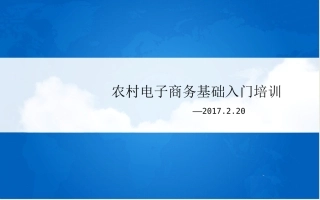 农村电子商务基础入门培训