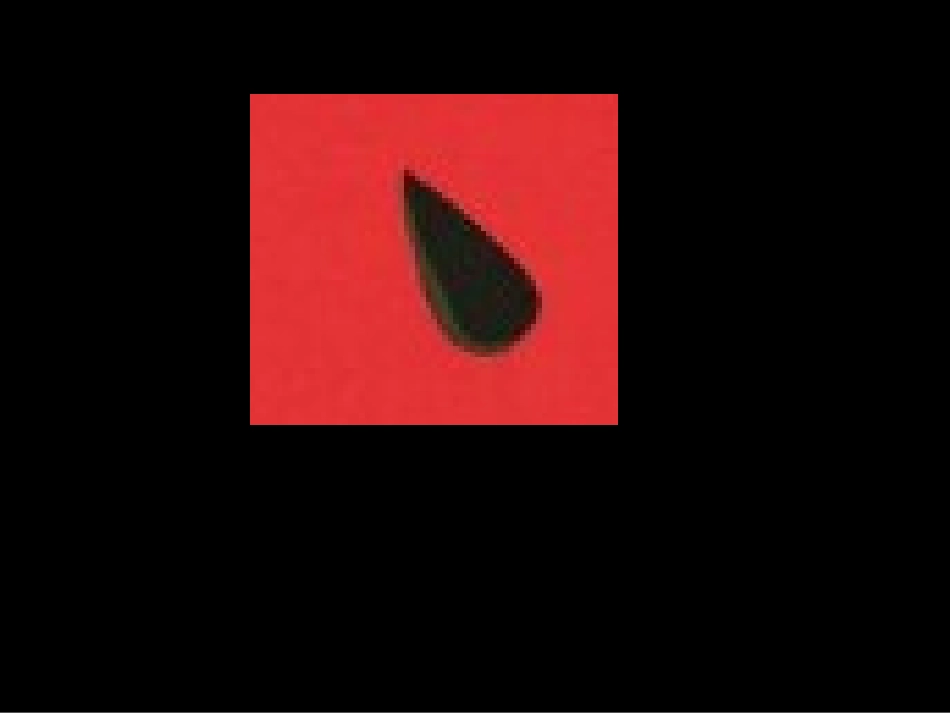 蚂蚁和西瓜(绘本与创意美术)_第2页