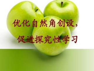 自然角创设与利用(2013.04)