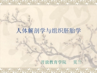 人体解剖学与组织胚胎学