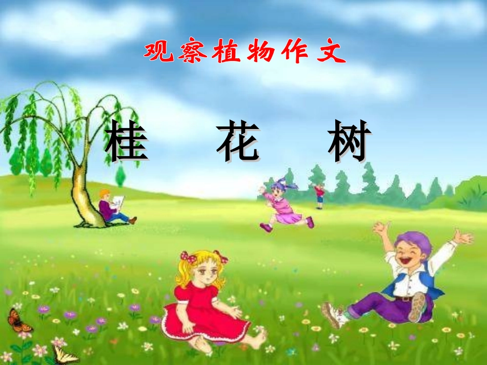 写植物作文指导——桂花树_第1页