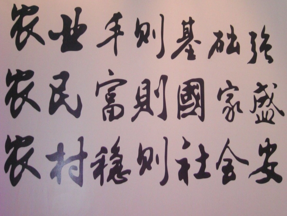 农业产业化战略思路与设计_第2页