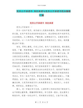 党员公开承诺书