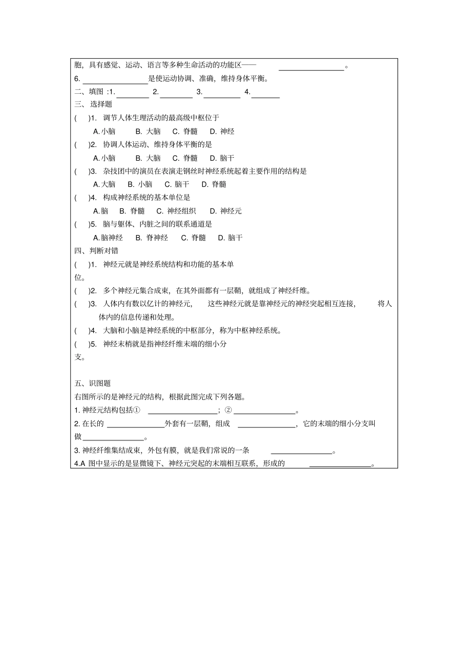 人教版生物七年级下册神经系统的组成导学案_第2页