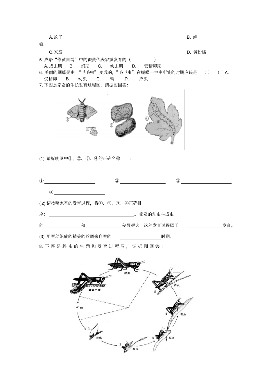 人教版生物八年级下昆虫的生殖和发育导学案_第3页