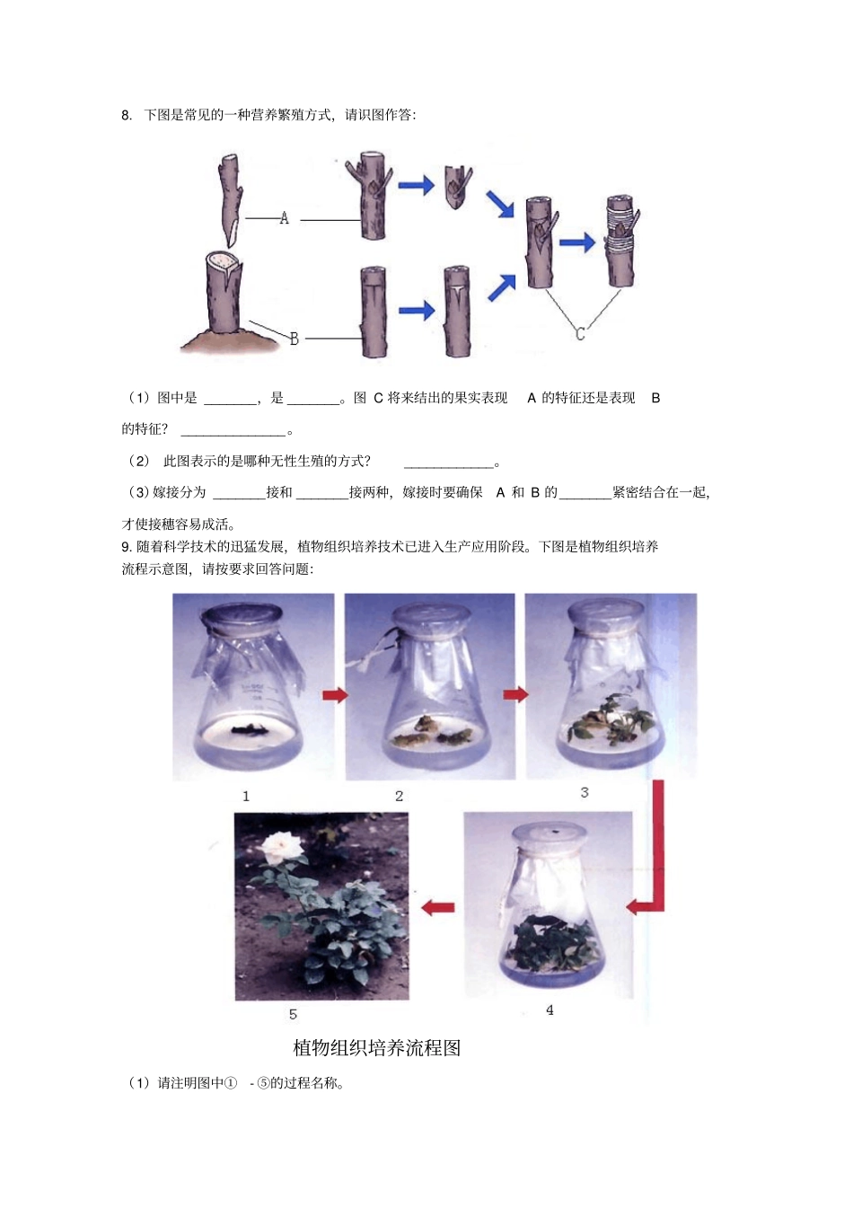 人教版生物八年级下植物的生殖导学案_第3页