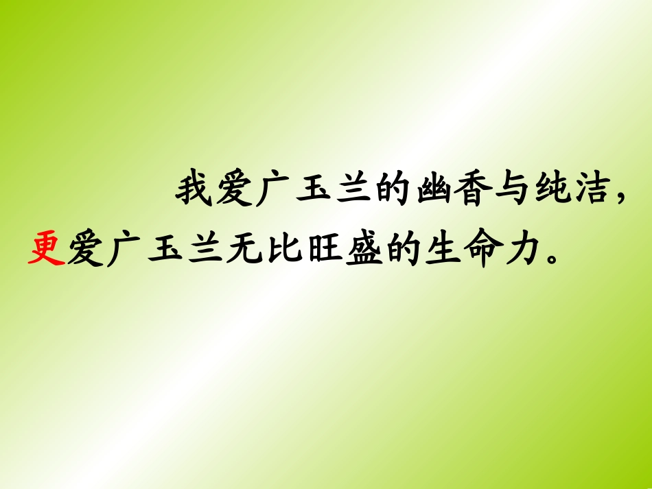 广玉兰PPT_第2页
