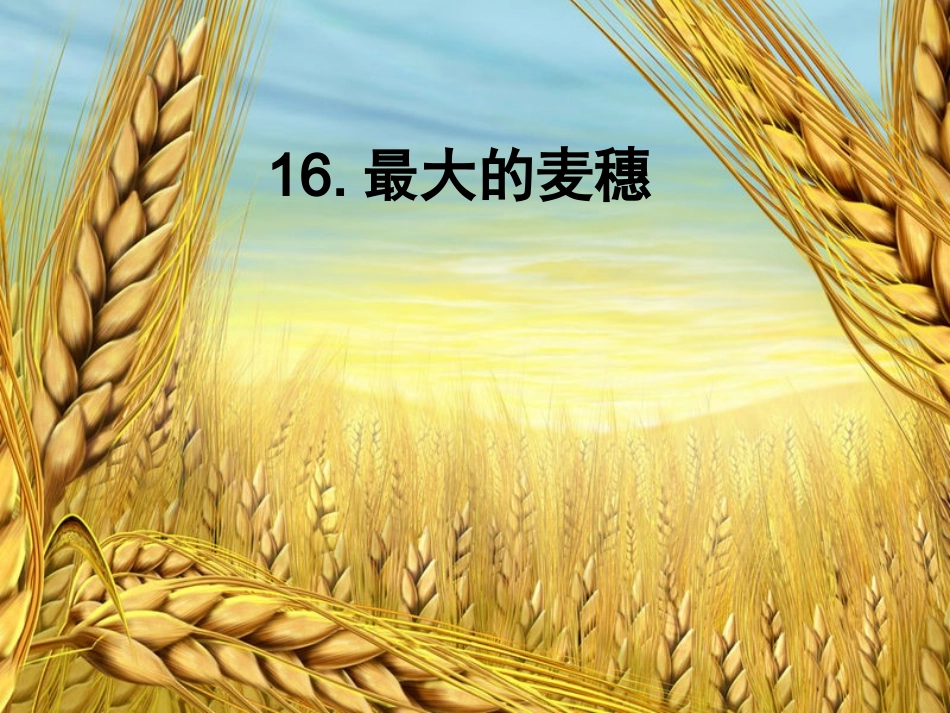最大的麦穗 (2)_第2页