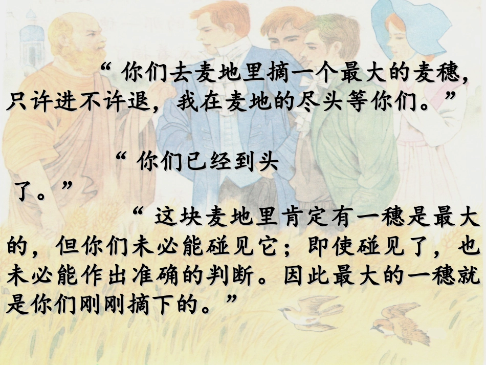 最大的麦穗 (2)_第3页