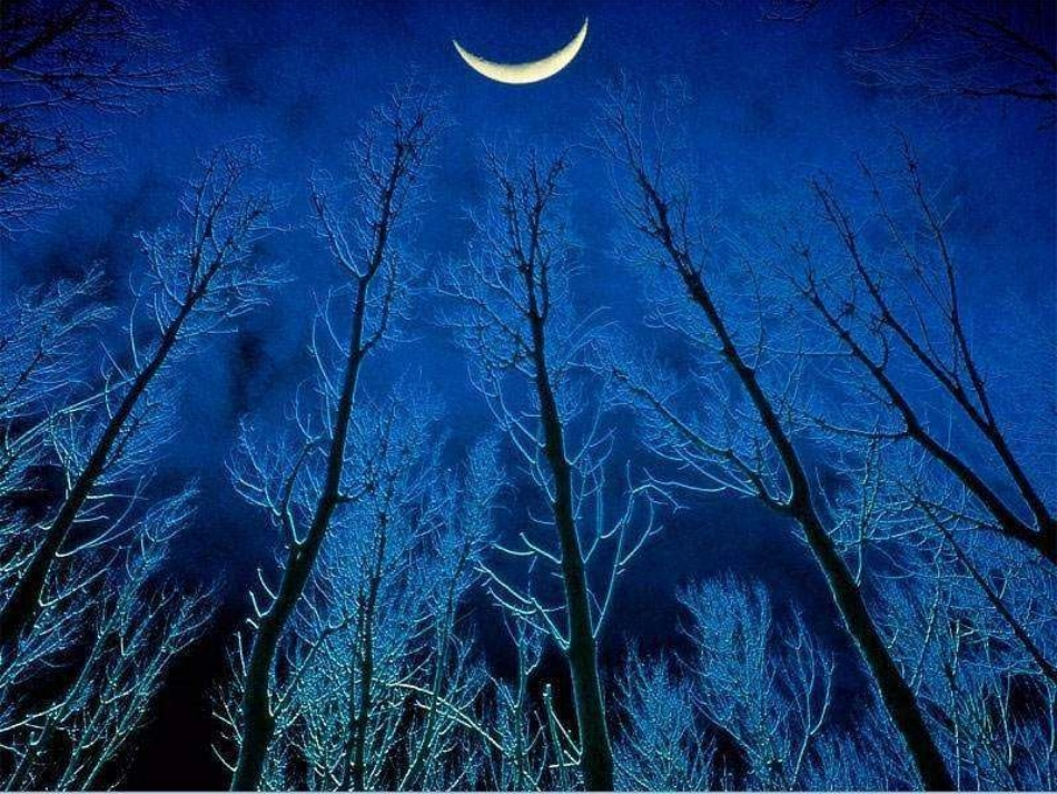 月迹[陈锁明]_第2页