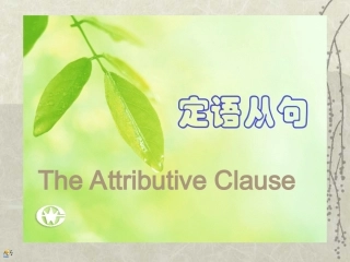 实验班定语从句中考专题复习课件