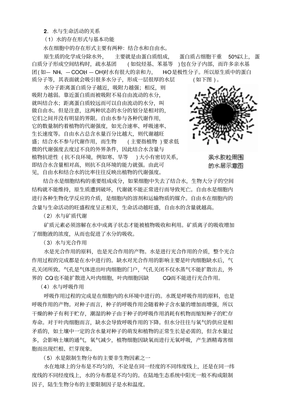 人教版生物高三年级生命的物质基础教学设计_第3页