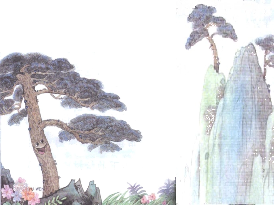 小松树和大松_第3页