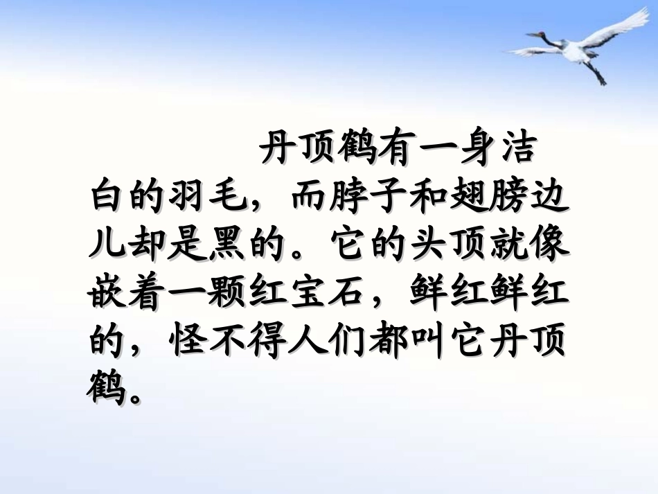 《美丽的丹顶鹤》第二课时教学课件_第2页