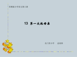 第一次抱母亲 (2)