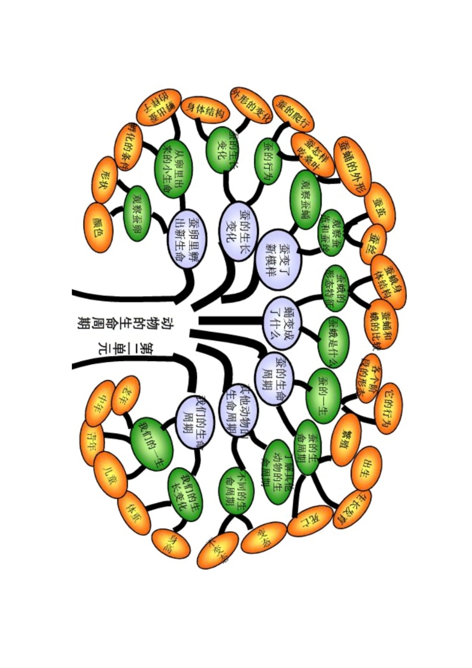 动物的生命周期_第1页
