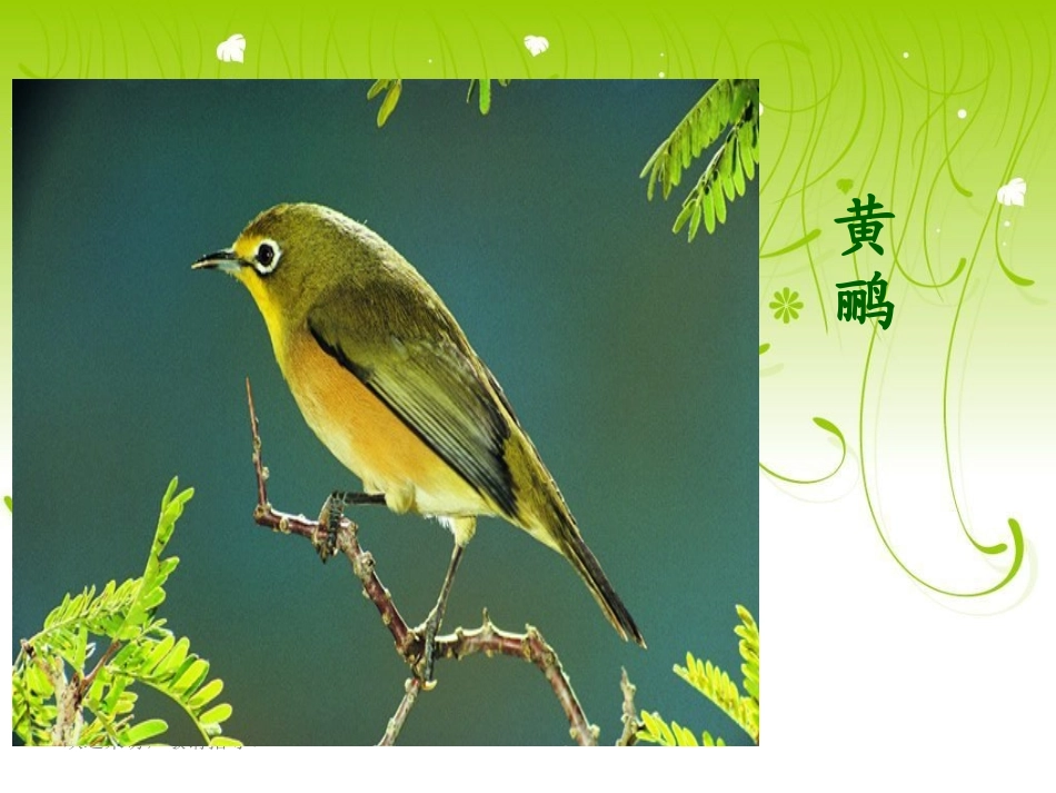 《乡下孩子》_第2页