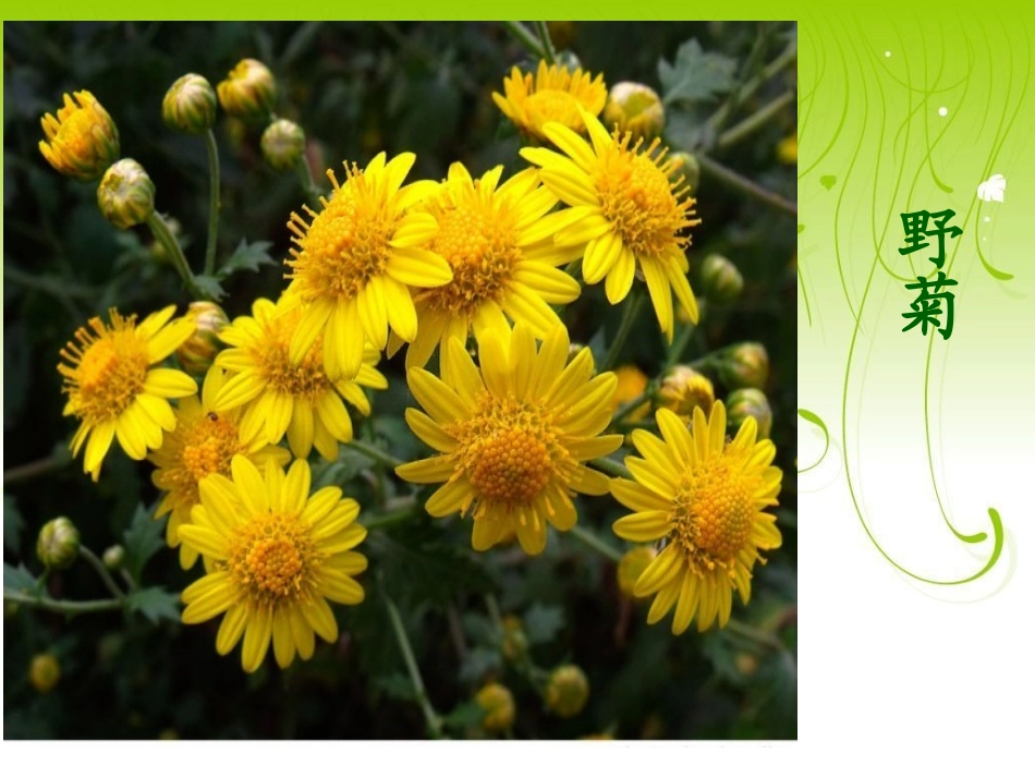 《乡下孩子》_第3页