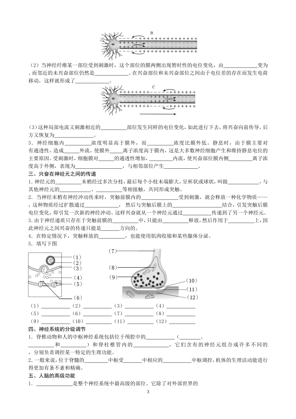 第1章人体的内环境与稳态_第3页