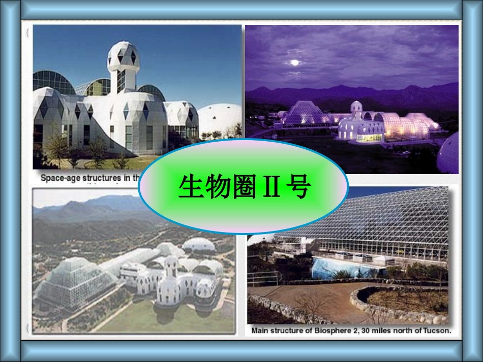 《生态系统的稳定性》课件（1）_第2页