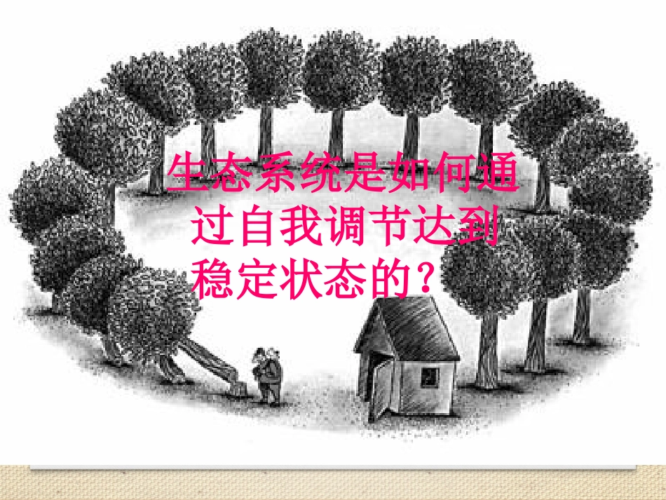《生态系统的稳定性》课件（1）_第3页