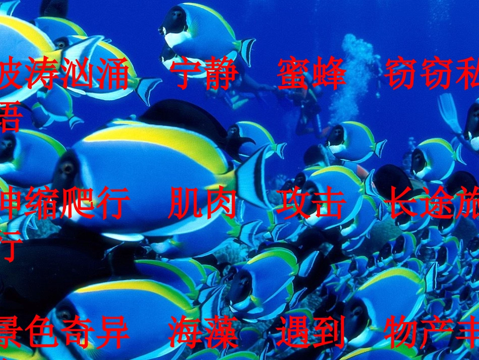 海底世界 (4)_第2页