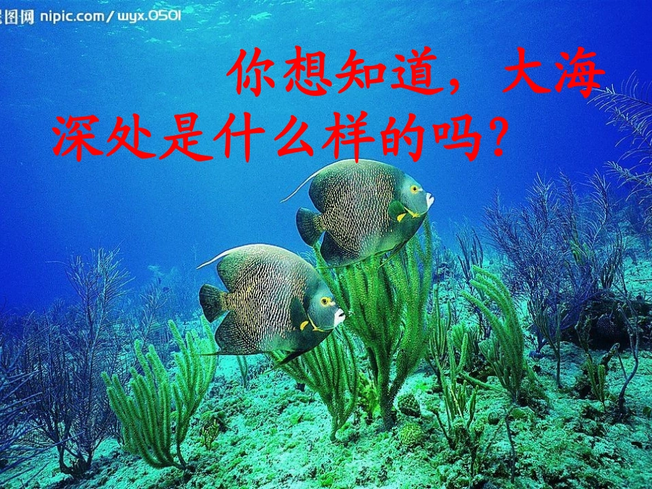 海底世界 (4)_第3页