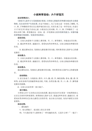 小班科学活动《六个好宝贝》