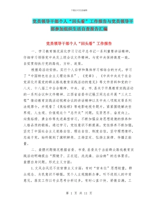党员领导干部个人“回头看”工作报告与党员领导干部参加组织生活自查报告汇编