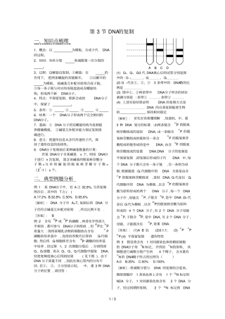 人教版试题试卷DNA的复制练习