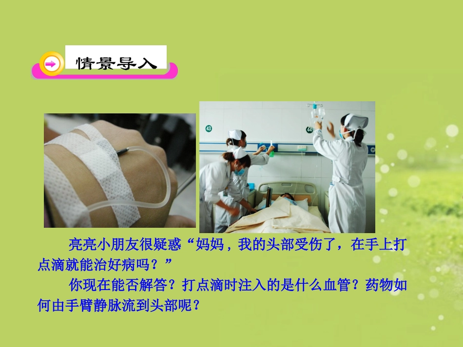 《血液循环》课件2_第2页