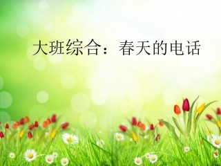 春天的电话(1)