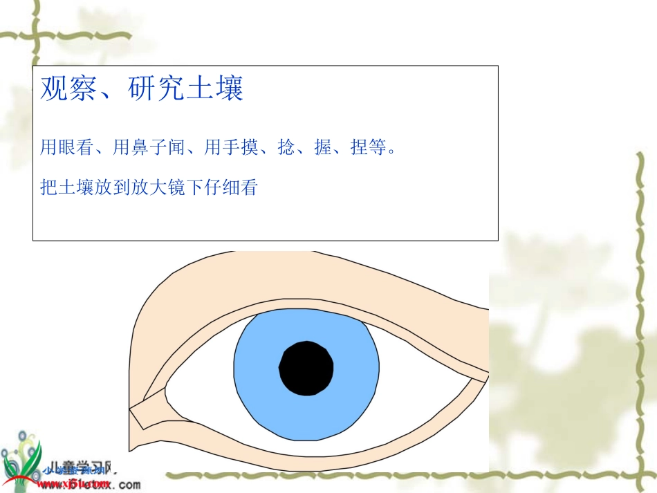 《我们周围的土壤》公开课_第2页