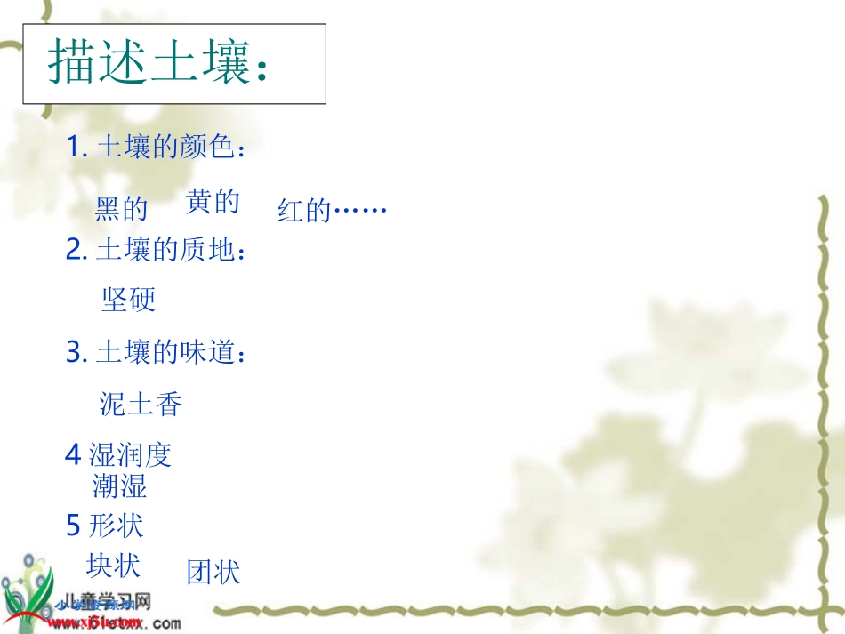 《我们周围的土壤》公开课_第3页