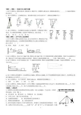 2010年杠杆和滑轮分类习题精选