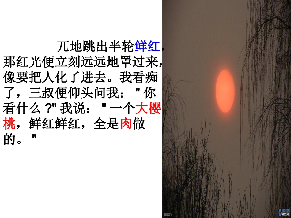 柳叶儿 (3)_第2页