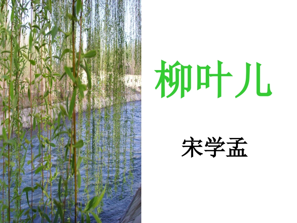 柳叶儿 (3)_第3页