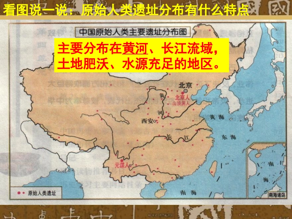 第1课中华大地的远古人类【课件】【北师大版】_第3页