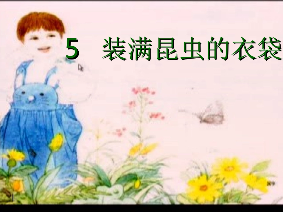 __装满昆虫的衣袋_第2页